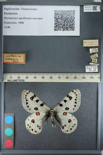 Media type: image;   Entomology 174223
